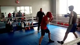 Спарринг в клубе витязь