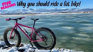 Five Reasons Why You Should Ride A Fat Bike | Top Five Reasons | fatbike