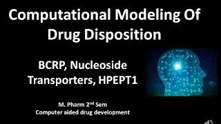 BCRP, Nucleoside Transporters, hPEPT1 || Computational Modeling Of Drug Disposition #pharmalessons