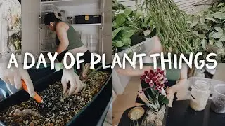 a day of plant things - plant shopping, orchid potting , notching philodendron and not so fun chores