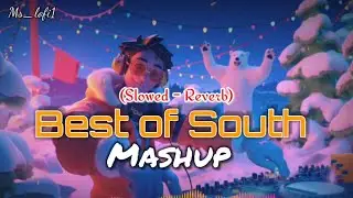 Best of South Mashup (Slowed - Reverb) 🥂💫