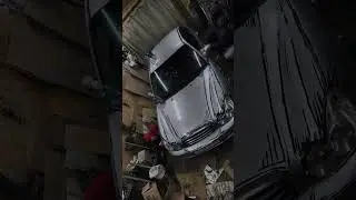 Окрас по писку моды 