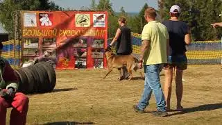 7.08.22 БРР Полазна Чемпионат РКФ, 1 раздел послушание