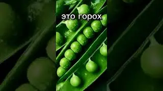 Качество съело не пойму что, уж простите