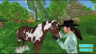 Buying More Horses | Sso |