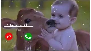 ringtone | funny sms tone | comedy sms ringtone | funny ringtone | comedy sms tone | new ringtone