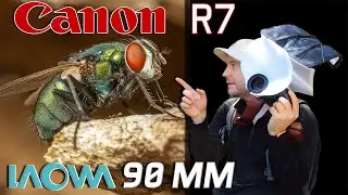Canon R7 & Laowa 90mm Macro: High Image Quality & Versatility in the Field