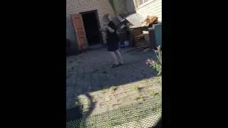 Пьяная баба-ЖЖЕТ