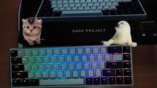 АСМР МОЯ ПЕРВАЯ КЛАВИАТУРА Dark Project KD68b
