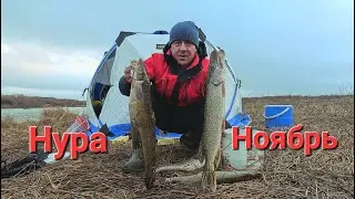Fishing on the Nura in November!!! Burbot and Pike!!!