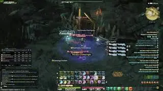 FFXIV Brayflox's Longstop on Scholar