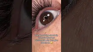 It’s always that inner corner or outer corner lash cluster. #lashes #linxlashes #diylashes