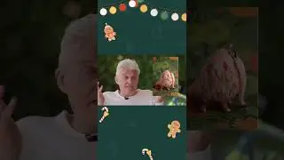 ТИНЬКОВ ПОЯСНЯЕТ ЗА КЕРАМИКУ (Ч.2)