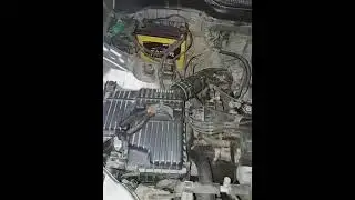 Расположение датчика скорости Honda Cr-v RD1. Honda Cr-v Rd1 location speed sensor.