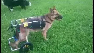 Первый день - полёт отличный!