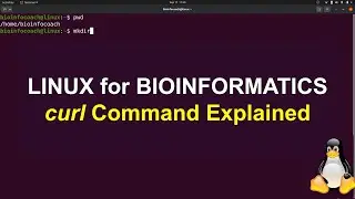 curl command Explained in Linux for  Bioinformatics