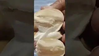 LANZONES #shorts #satisfying #asmr #fruit