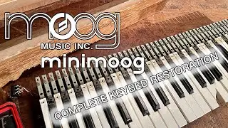 Minimoog Model D Complete Keybed Restoration of Vintage Moog Synthesizer