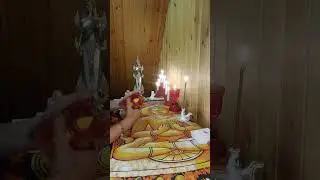 ОН БЫ ХОТЕЛ ЧТОБЫ ВЫ ЕГО ПРОСТИЛИ!!! / PROTARO 1233