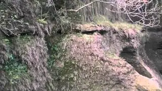 Водопады продолжение