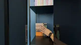 Présentation de ma Mangatheque ☠️