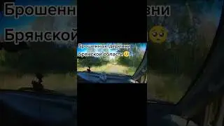 Заброшенные деревни🥲Брянская область ❤️Поиски 👍#shorts