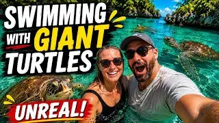 We went Swimming with Turtles in Zanzibar: Baraka Natural Aquarium Nungwi