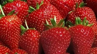 How To Freeze Strawberries.