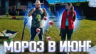 ТРАКТОР НЕ ПРИЕХАЛ//посадили новый сад