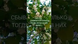 HAPPY ПОЛЬЗА 