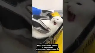Масштабирование бизнеса