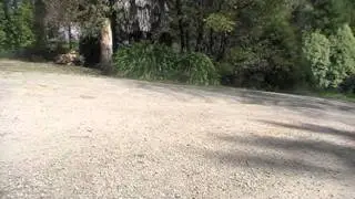 HSP xstr pro buggy