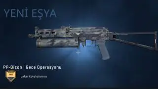 pp bizon