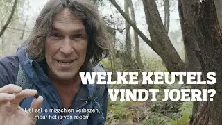 Sporen zoeken: van wie is de keutel?