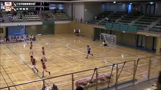 【ハンドボール】第43回JHLトヨタ自動車東日本VS大崎電気シュートシーン【ハンドボールリーグ】handball