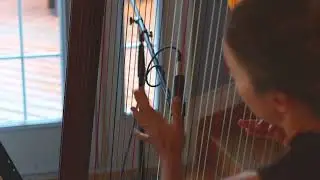 Brown Eyed Girl Harp Cover