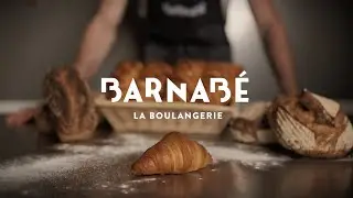 Vidéo Marketing - Barnabé