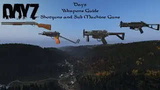 Dayz  : Weapons Guide : Shotguns and Sub Machine Guns