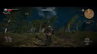 Witcher 3 Ultra Graphics