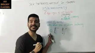 SEX DETERMINATION IN HUMANS @avibiologyclasses6633