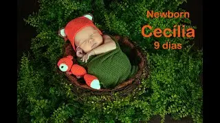 Cecília 9 dias