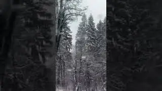 30 декабря 2022 г.
