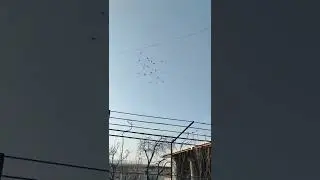 молодёжь начинает... 5