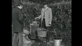How to make Poitin (Poteen), Newmarket, Co. Cork, Ireland 1970