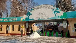 Almaty zoo | Kazakhstan | Almaty zoo Kazakhstan | zoo Kazakhstan 