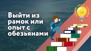 Выйти из рамок или опыт с обезьянами