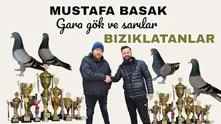 👑HAZİR KUS İSTEYENE 👑                                              4 TANE ZİMBA  SAYİ MAKİNASİ