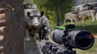 СТОИТ ЛИ ПОКУПАТЬ самую ДОРОГУЮ броню  и Это не ТАРКОВ это Арена Брейкаут 🇨🇳 
