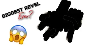 BIGGEST REVEAL EVER!!! 1K SUB SPECIAL BTW #equestrian #reavel #big #oldenburg