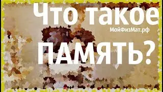 Что такое память? Виды памяти и характеристики